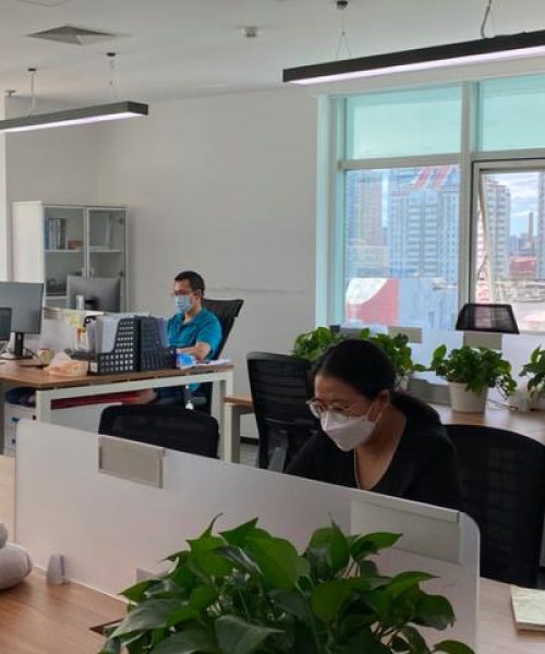 精准一肖100%免费｜软件性能效率评测