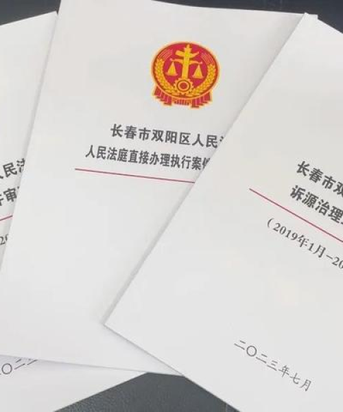 双阳新闻最新深度报道，今日消息全解析