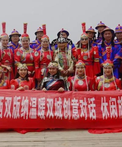 河南天铸消防与版纳旅居公司排名深度解析