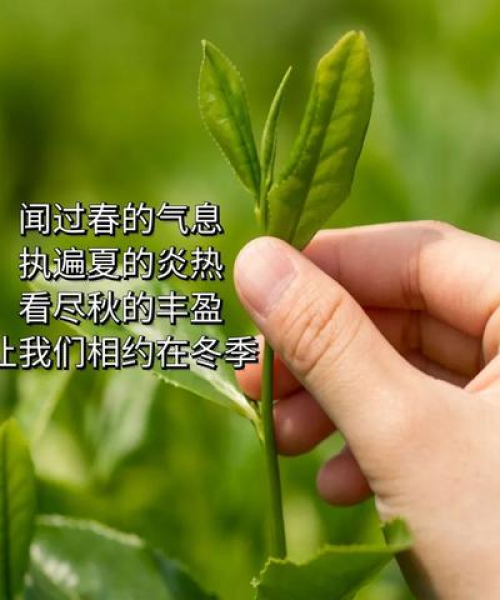 励志前行，铸就消防英雄风采——经典语录集结