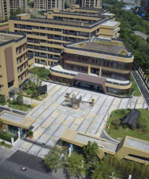 新城道路最新动态更新