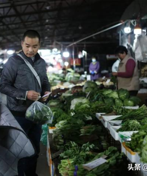 世界最轻折叠推车排行榜TOP推荐