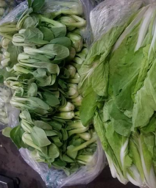 昆明今日菜价更新通知