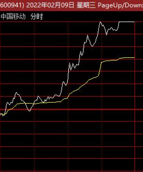 猪肉墩事件最新全面报道消息更新