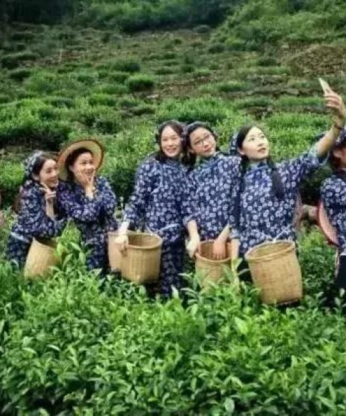 河南天铸消防有限公司新里程碑，乐山竹园重大新闻发布