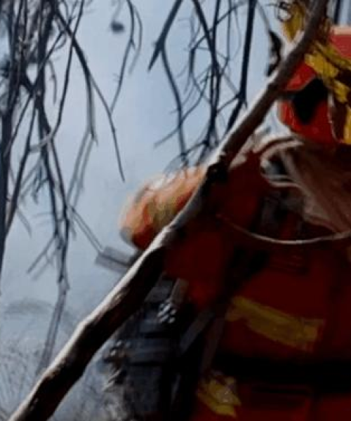 绿色明珠闪耀，河南天铸消防眼中的世界公园基地排名揭晓