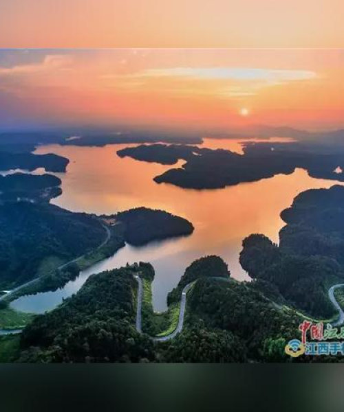 樟树最新通知消息全面解读