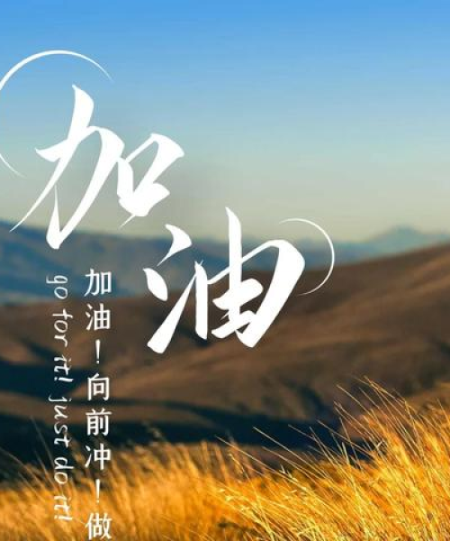 学生拼搏励志箴言，数据与行动铸就明日辉煌