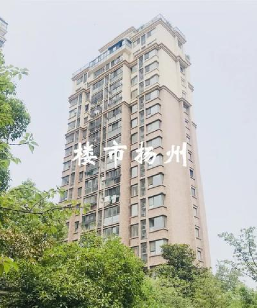 扬州最新房价动态，今日楼市行情速递