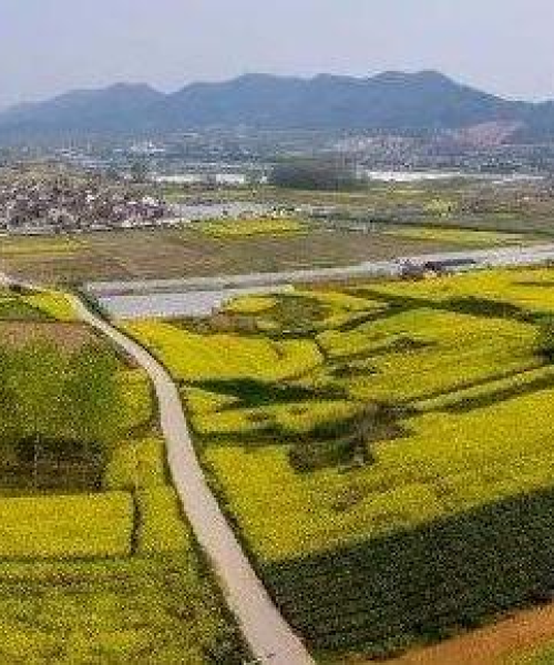 句容高家别墅出售最新信息大全