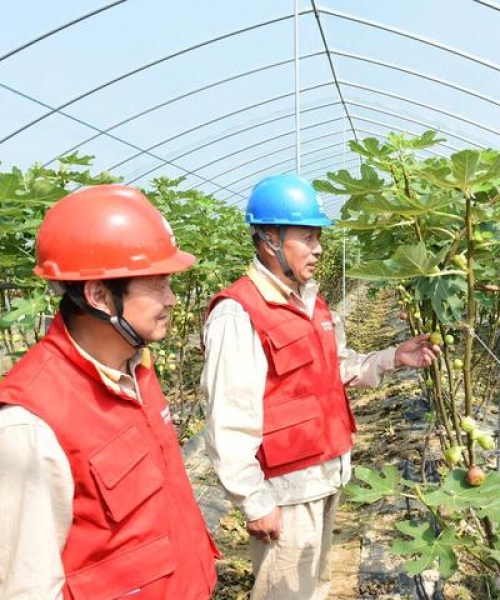 泗阳供电公司全国电力行业排名解析